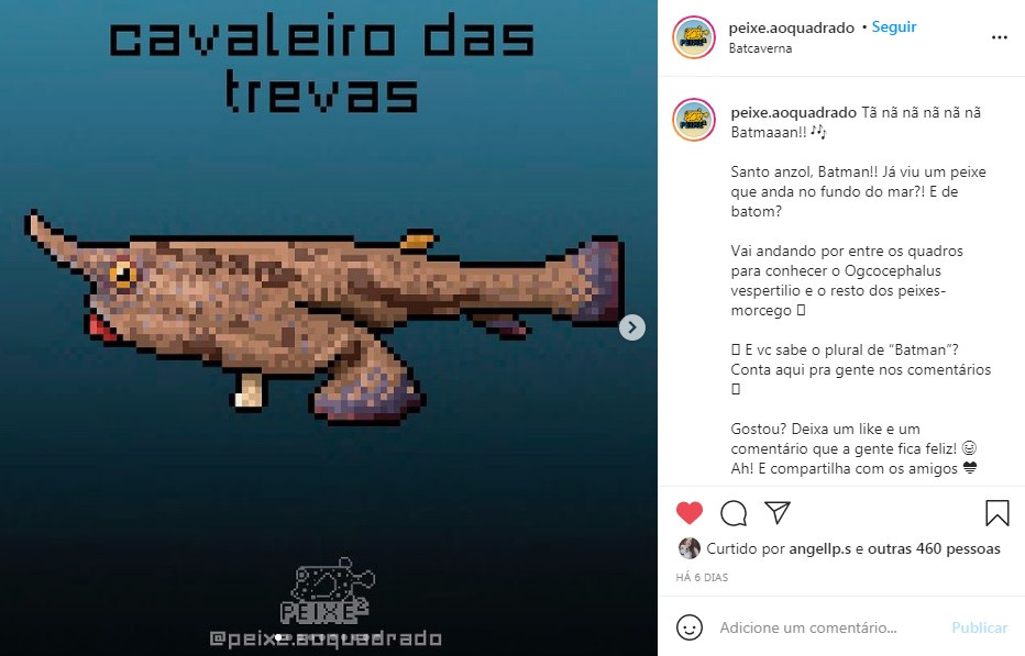 Exemplo de publicação da Peixe²