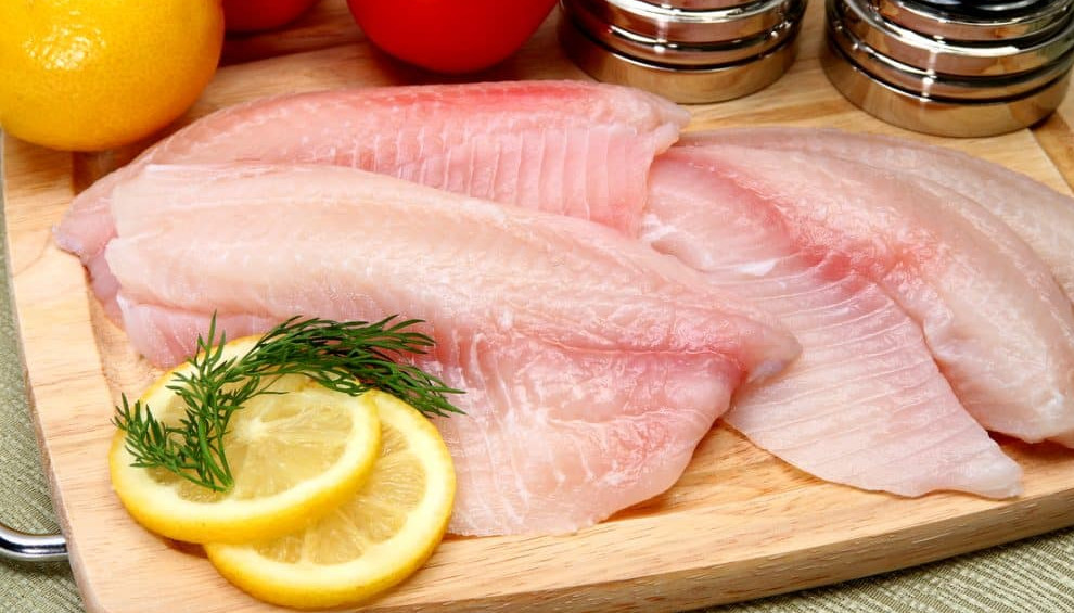 Carne de pescado possui diversos benefícios na alimentação