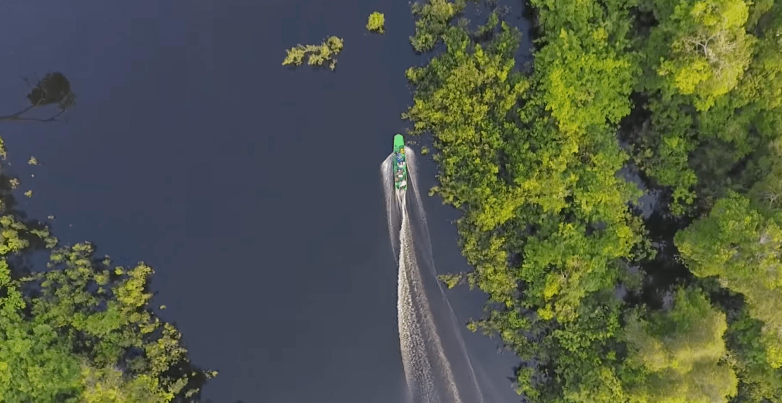 Amazônia tem milhares de espécies de peixes