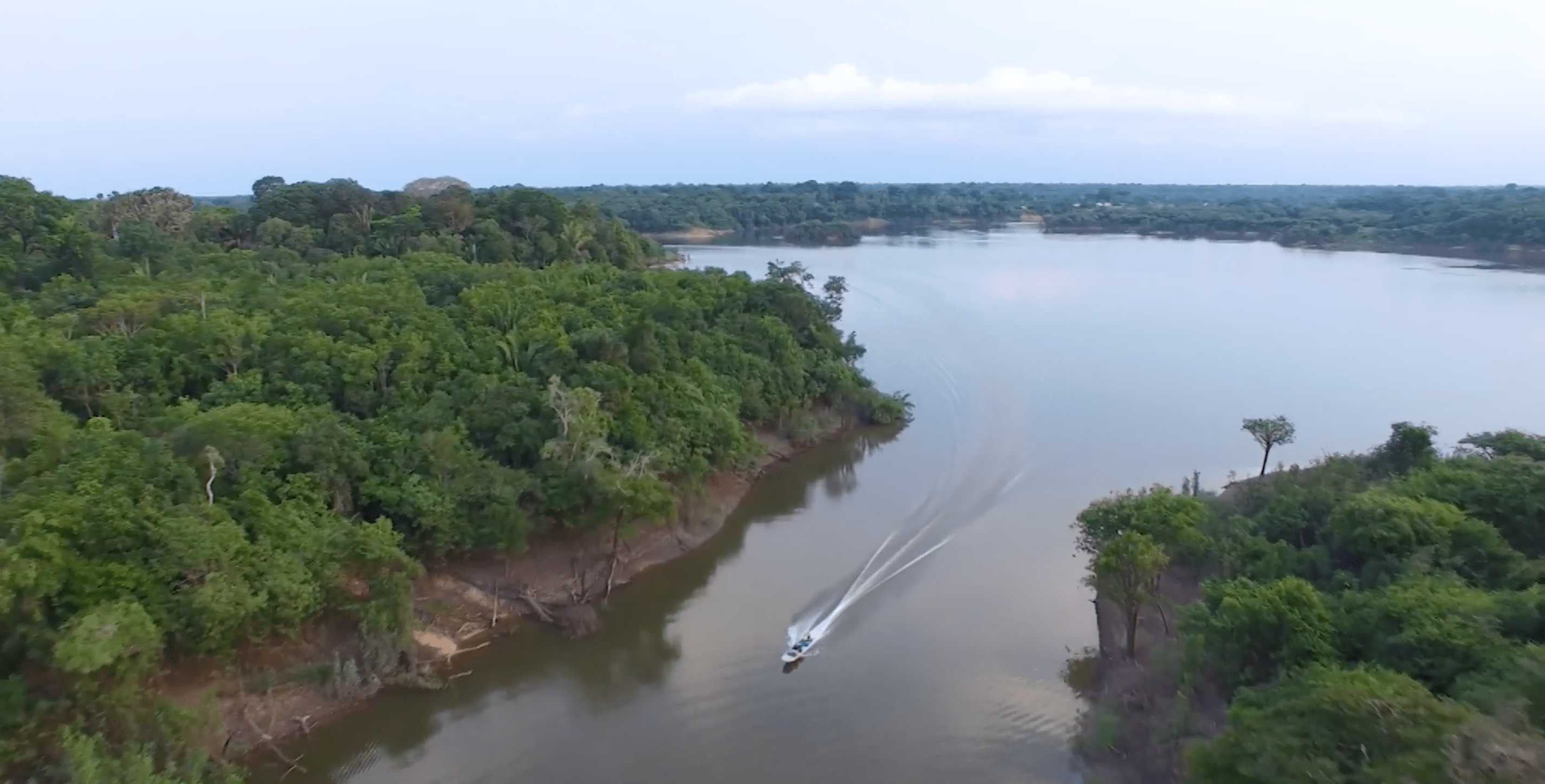 Amazônia tem milhares de espécies de peixes