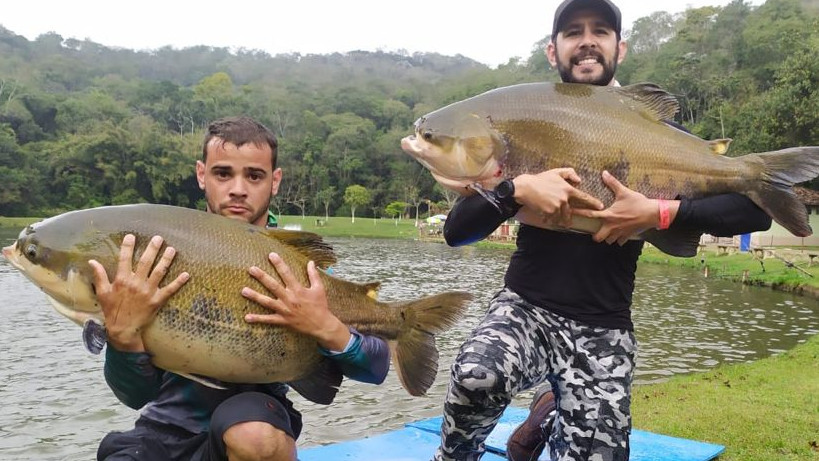 Exemplares foram devolvidos hoje pela manhã ao lago do pesqueiro