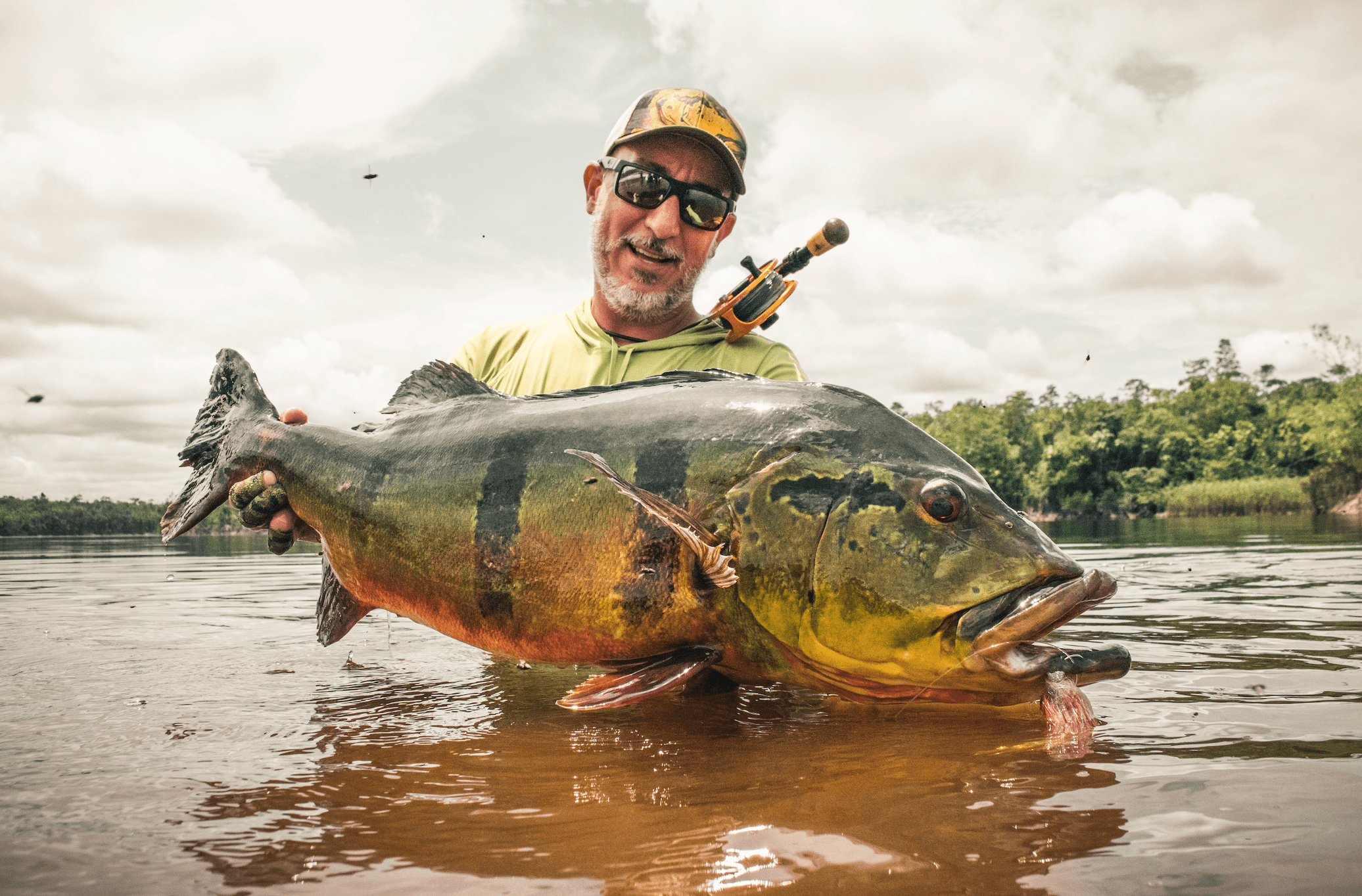 Recorde mundial na pesca de Fly: Tucunaré de 91 centímetros é o maior da  categoria All-Tackle