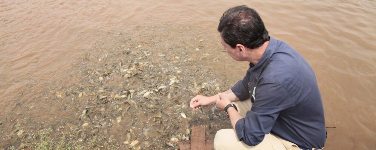 Fabio Sussel aquicultura