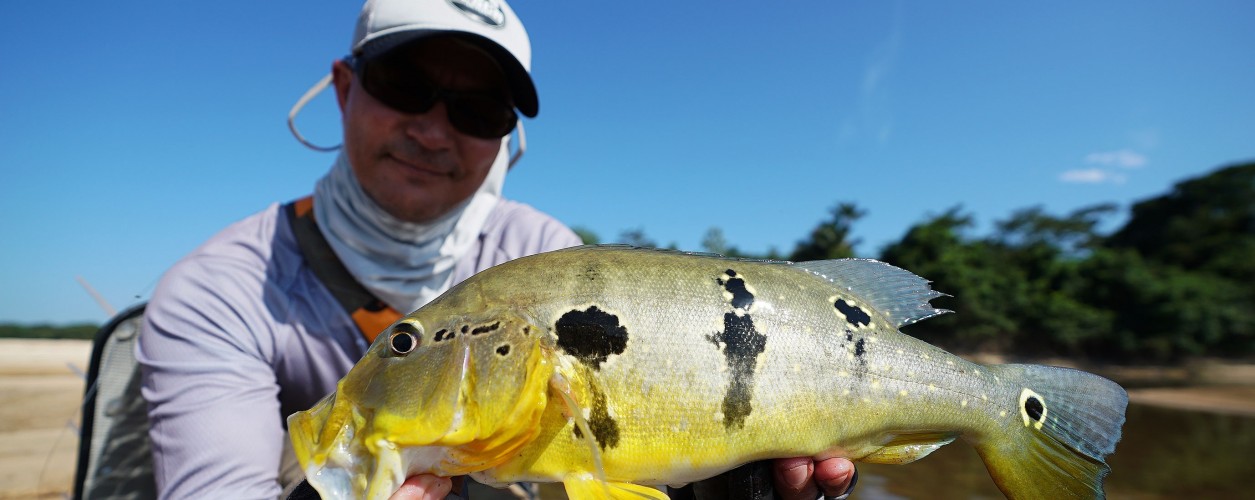 Gerson Kavamoto pesca esportiva tucunaré