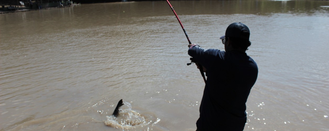 pesqueiro, pesque e solte, pesca esportiva