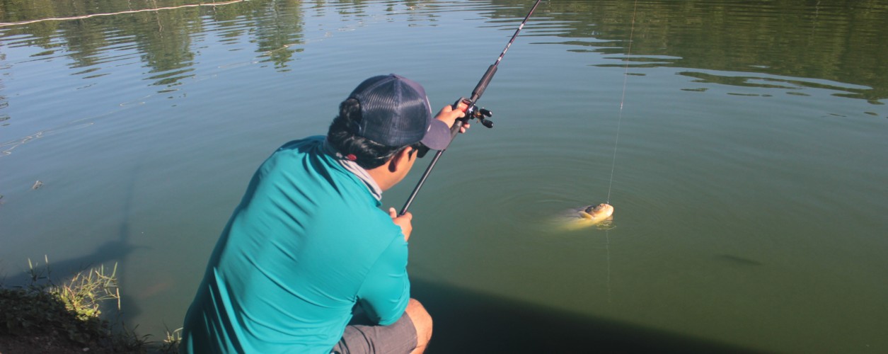 pesca esportiva, pesqueiro