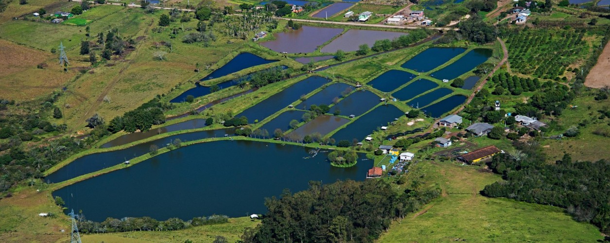 Sítio Reviver, Parobé, Rio Grande do Sul