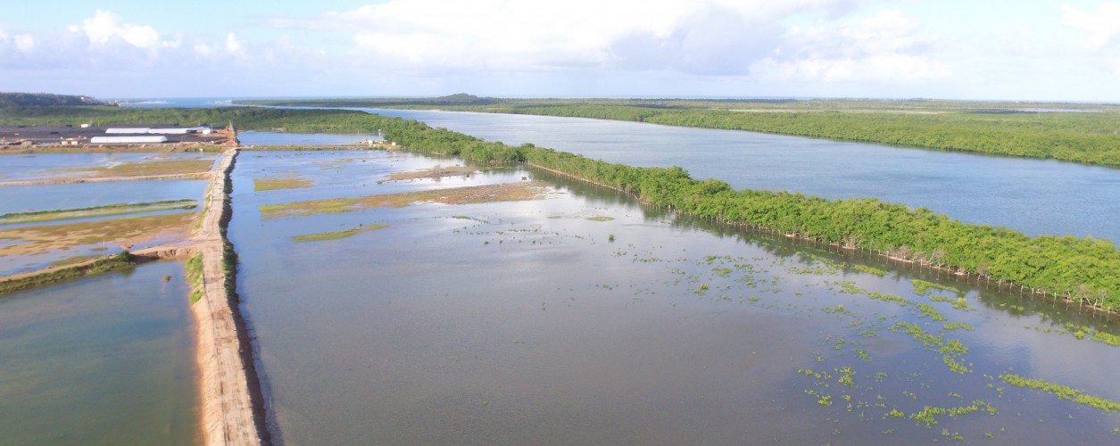 aquicultura, tanque rede