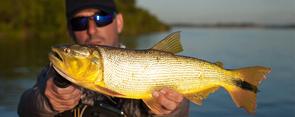 Pesca e Aventura: 3 Dicas do Gaba que você precisa ler antes da sua próxima expedição