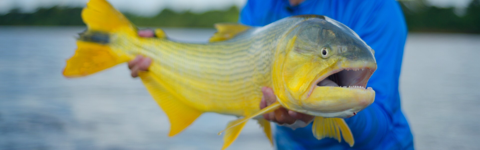 Cuidados de prevenção do Covid-19 no retorno para a pesca