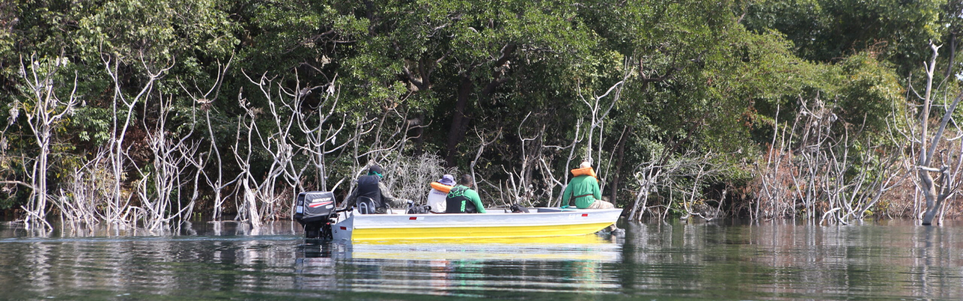 Animais ilhados são resgatados no reservatório da usina goiana de Serra da Mesa