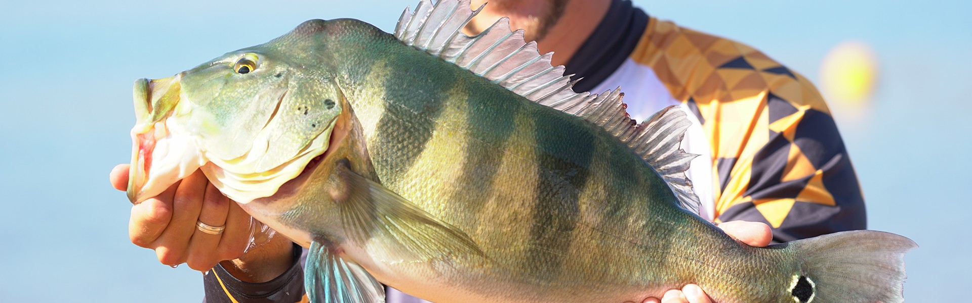 10º Torneio Nacional de Pesca Esportiva 2019 bateu recorde de peixes grandes