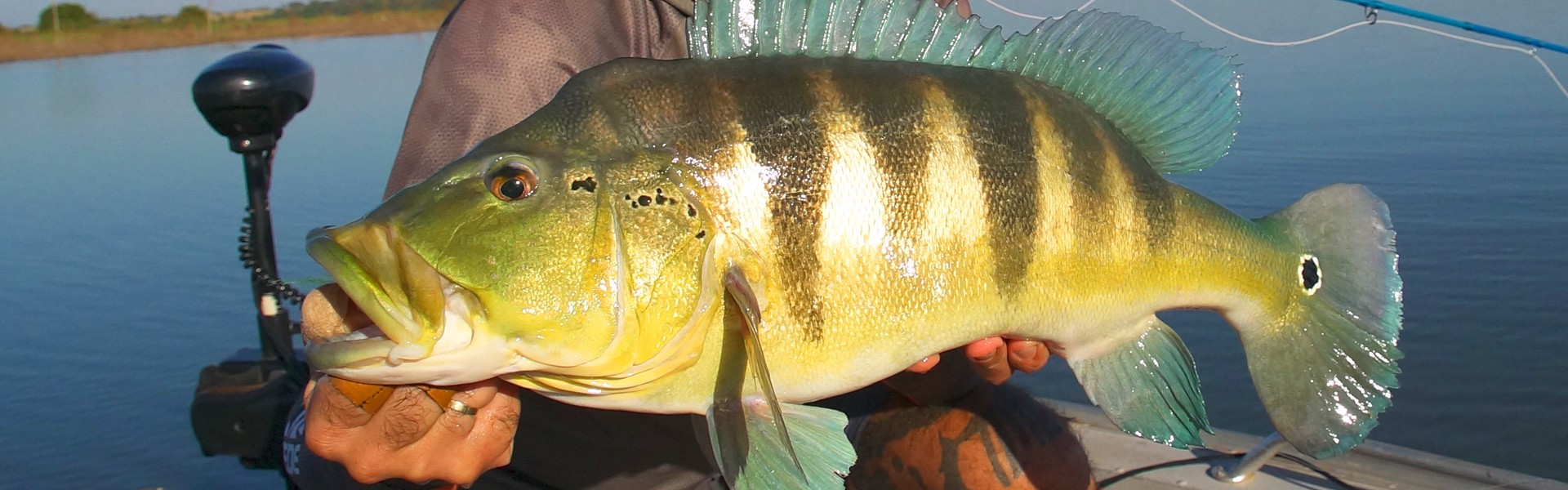 Encontro debate a pesca esportiva do tucunaré em Presidente Epitácio, em São Paulo