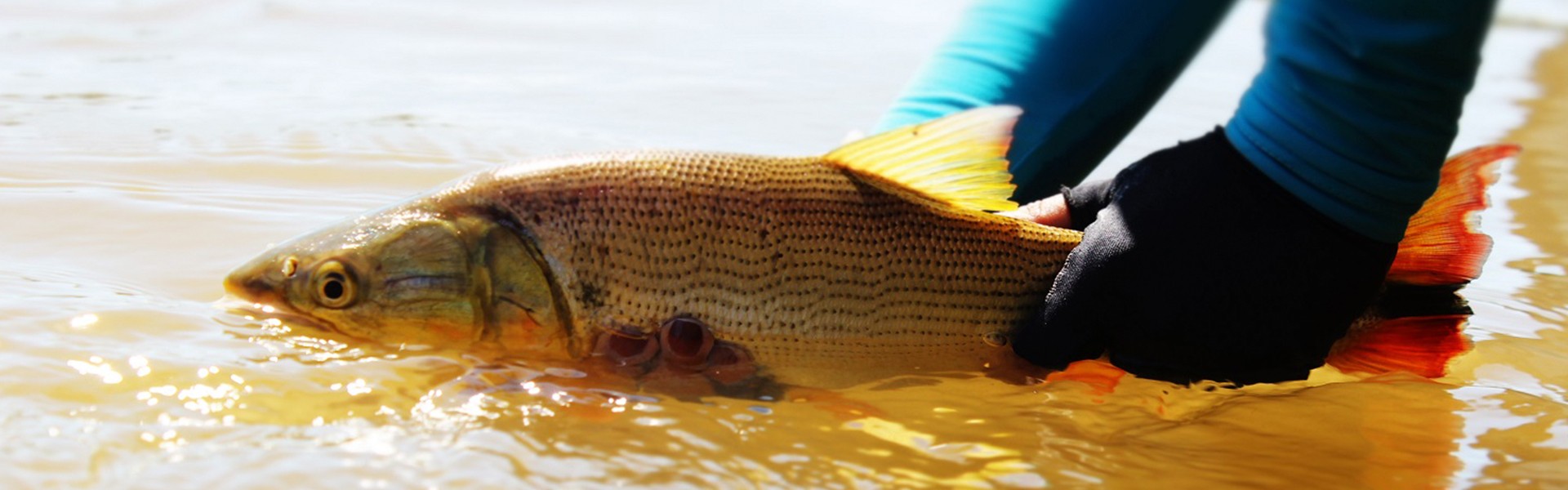 Workshop de Pesca Amadora e Esportiva acontece em Brasília