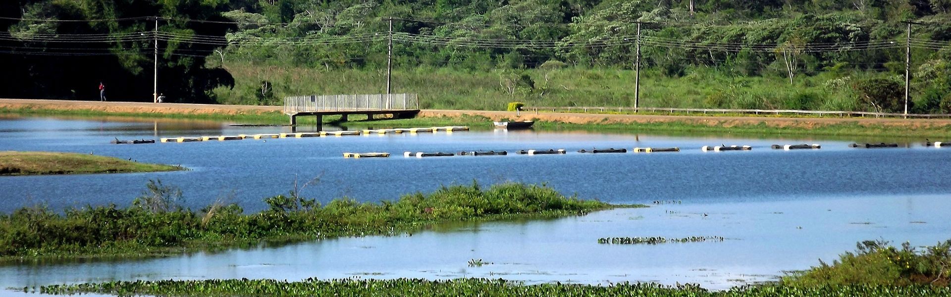 Instituto de Pesca oferece curso sobre piscicultura