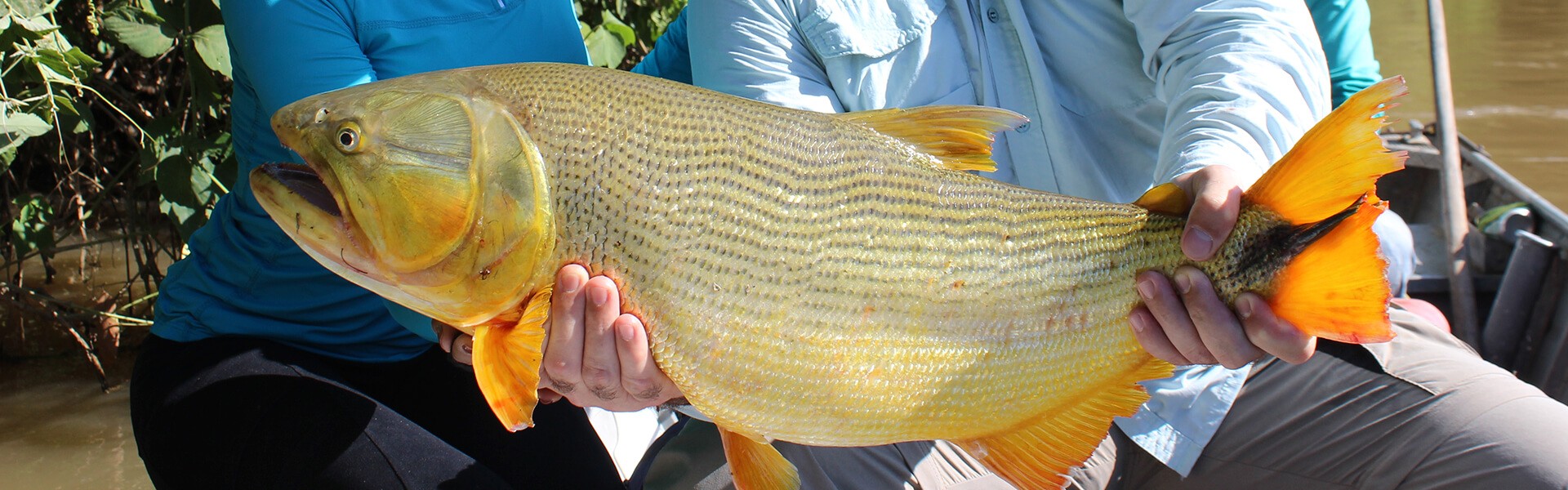 Turismo de pesca em Barão de Melgaço