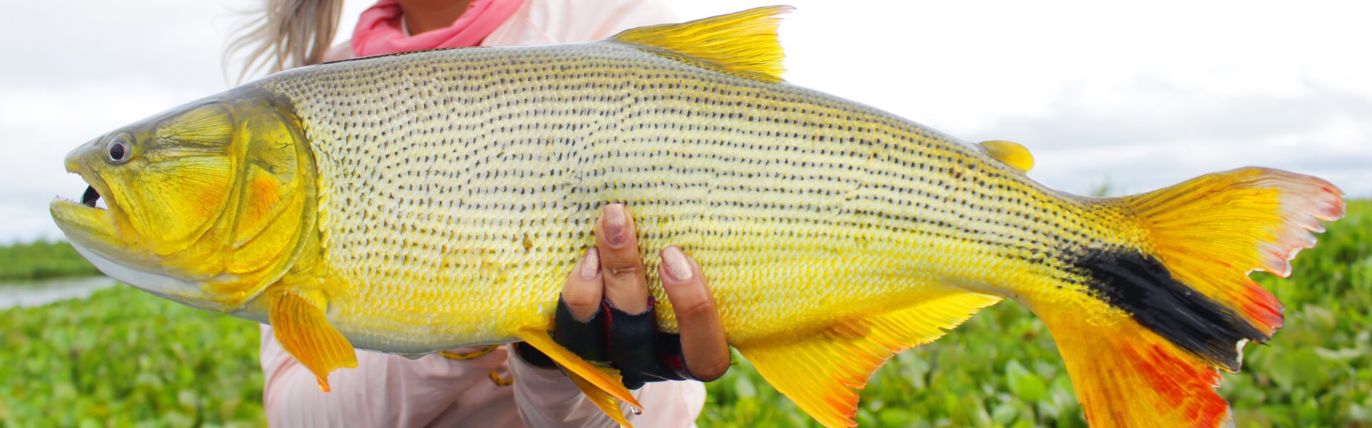 Corumbá retoma turismo de pesca