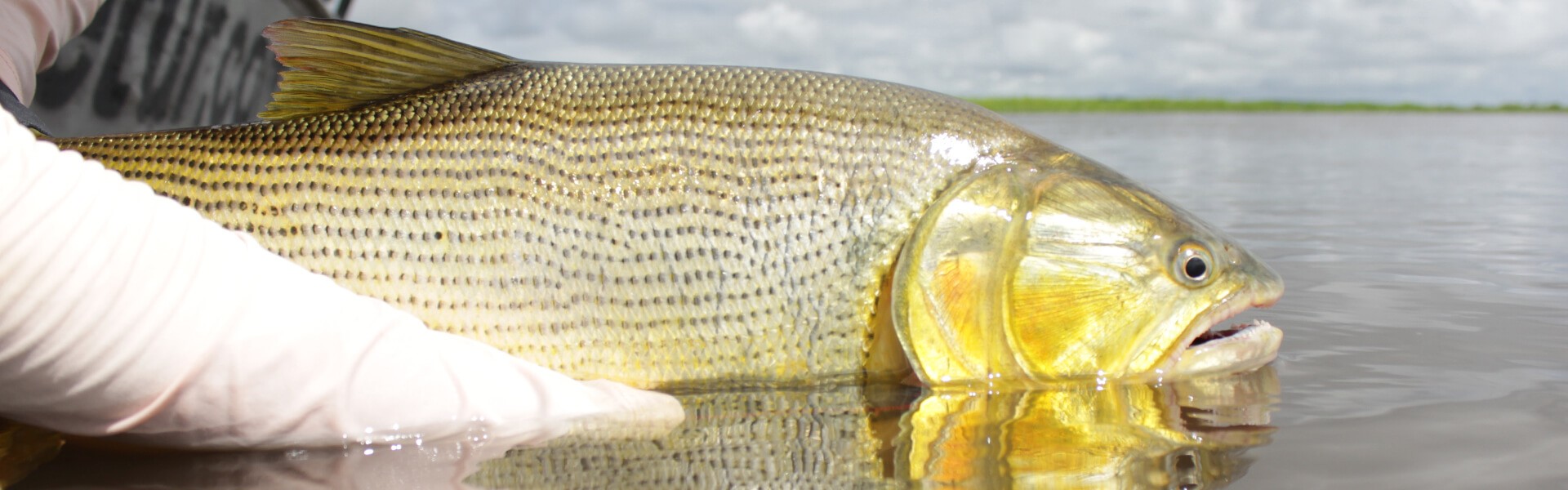 O que muda no turismo de pesca após vacina para o Covid-19