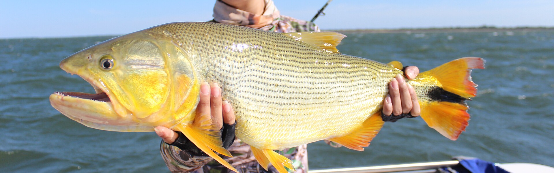 Pousadas de Corrientes pensam em ações para chamar os turistas