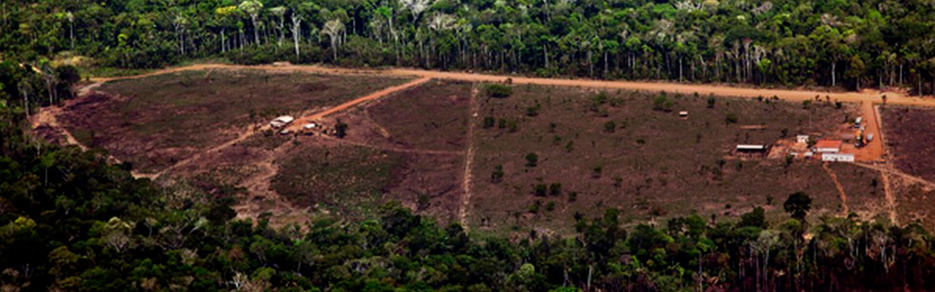 Foto: Divulgação/Greenpeace/Marizilda Cruppe/EVE