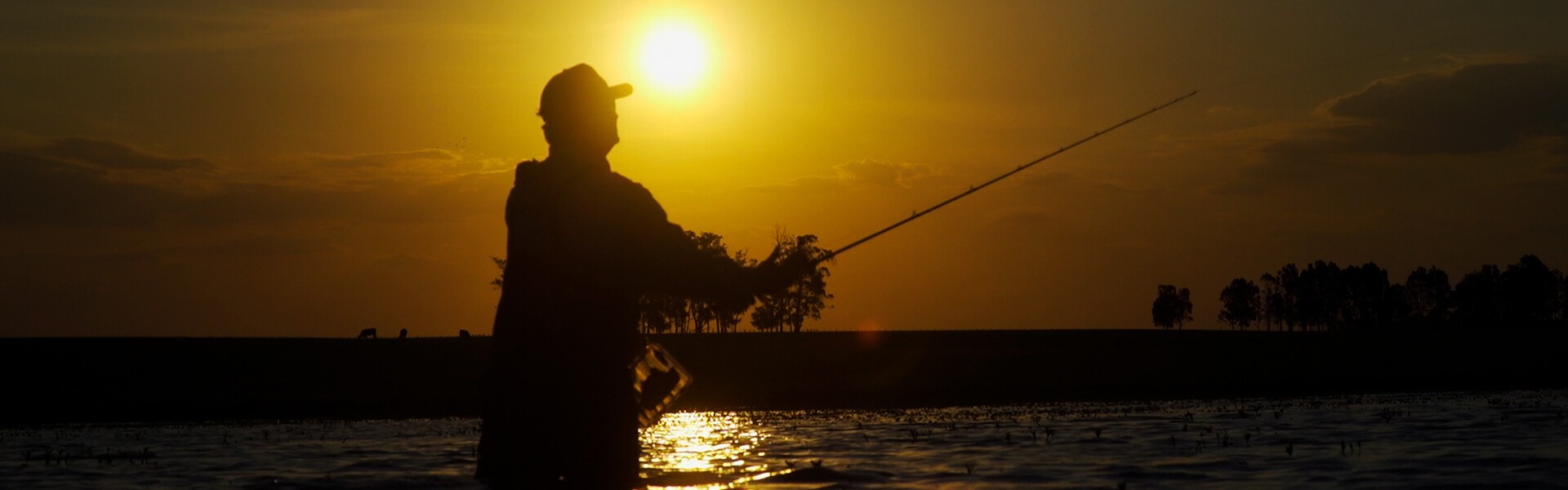 Para pescar no verão: confira 7 espécies que se destacam nesta época do ano