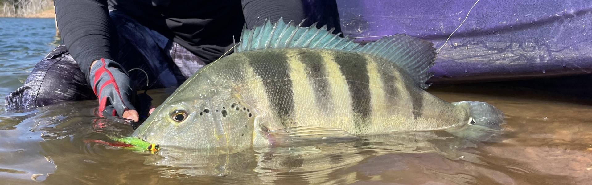 Ministério da Pesca e Aquicultura cria Comitê que promete fortalecer a pesca esportiva. Foto: Fish TV.