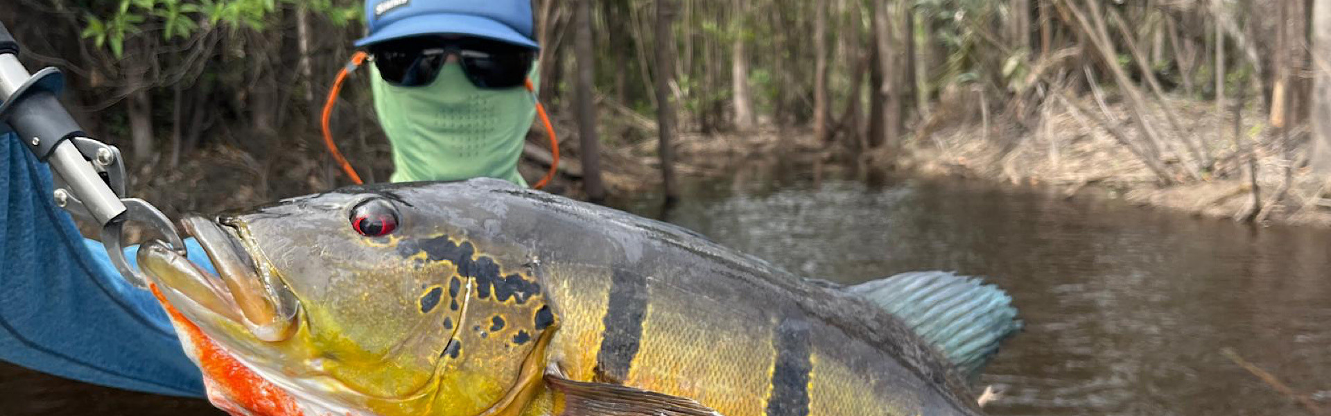 Alerta de super El Niño: o que o pescador esportivo precisa saber para ter resultado na Amazônia? Foto: Arquivo Pessoal / Matteo Bottazzi.