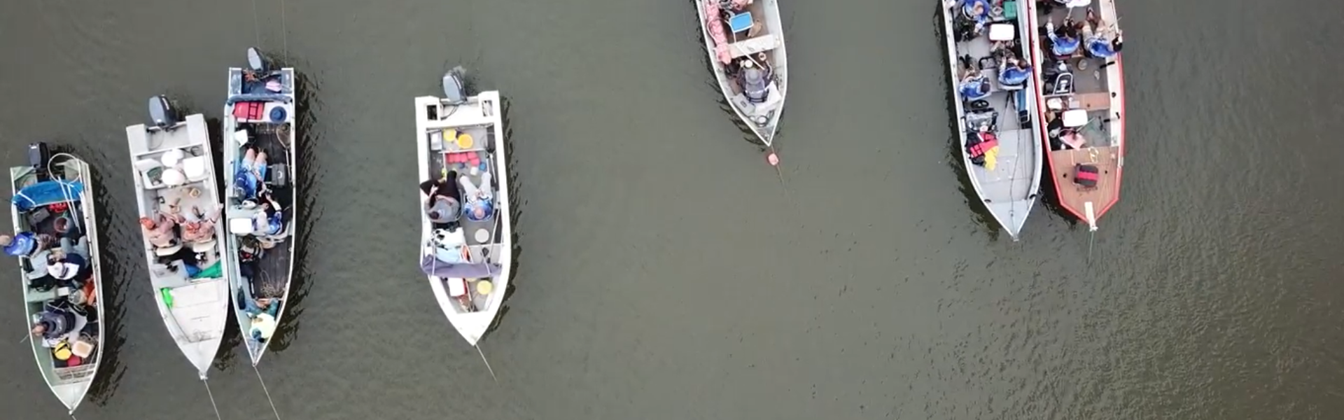 Fim de semana é de pesca esportiva em Santa Catarina e Rondônia. Foto: FishTV.