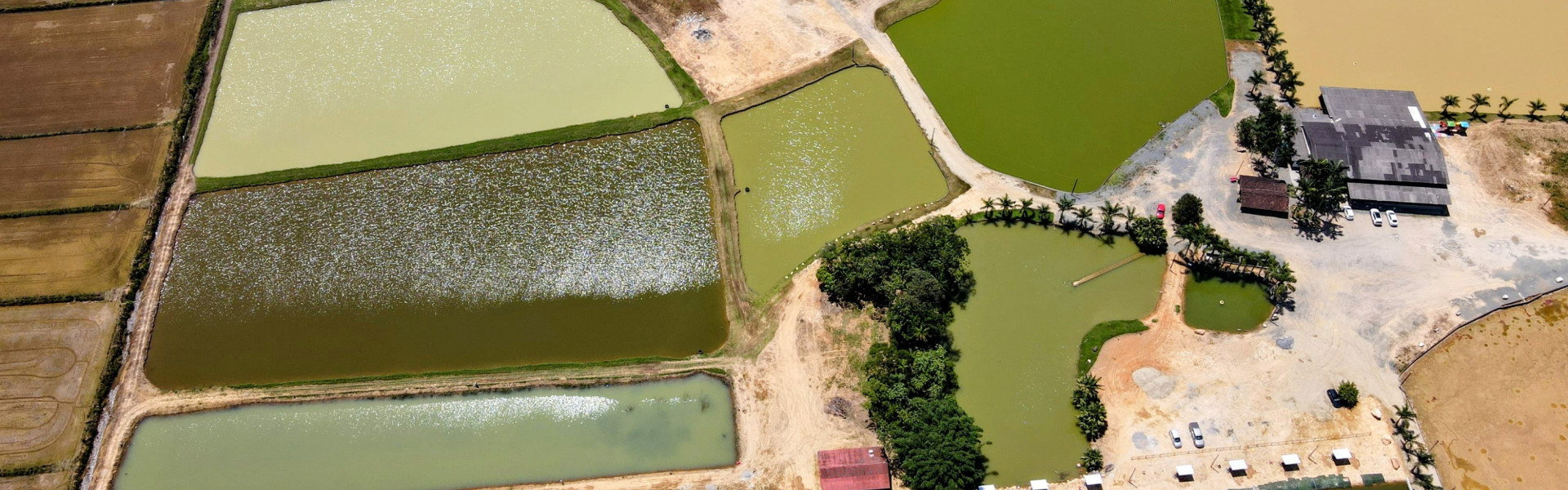 Estreia em Santa Catarina: Sítio Três Lagoas recebe etapa decisiva da Liga CBP Open. Foto: Pesqueiro Sítio Três Lagoas.
