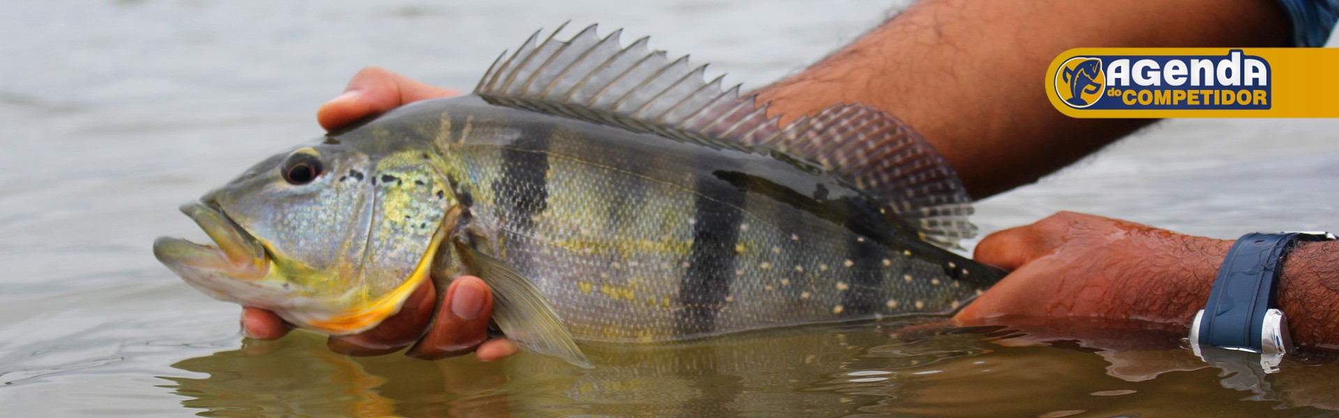 Saiba as competições que agitarão a pesca esportiva brasileira nos próximos dias