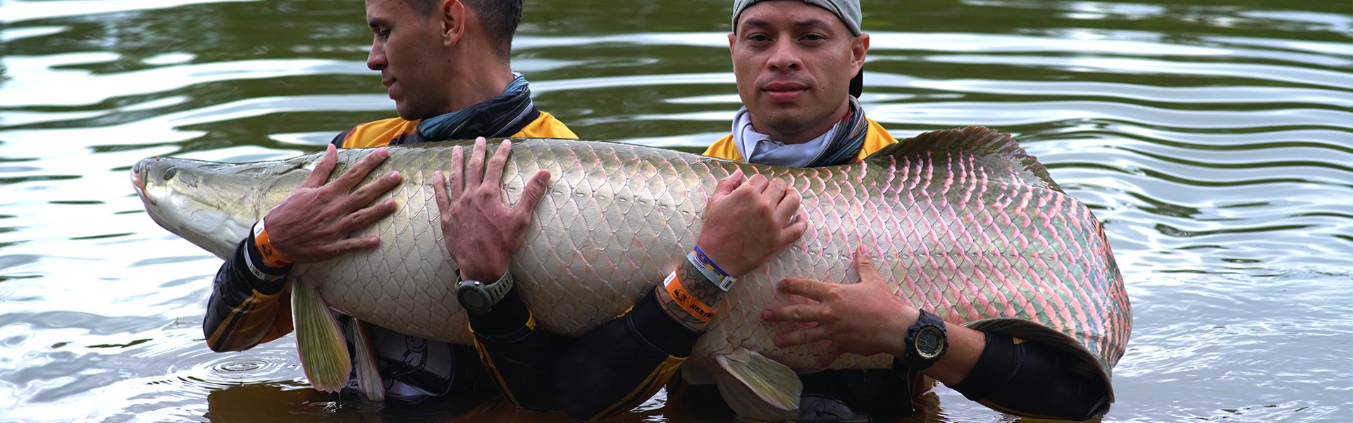 Pescar em Minas Gerais é garantia de peixe na linha