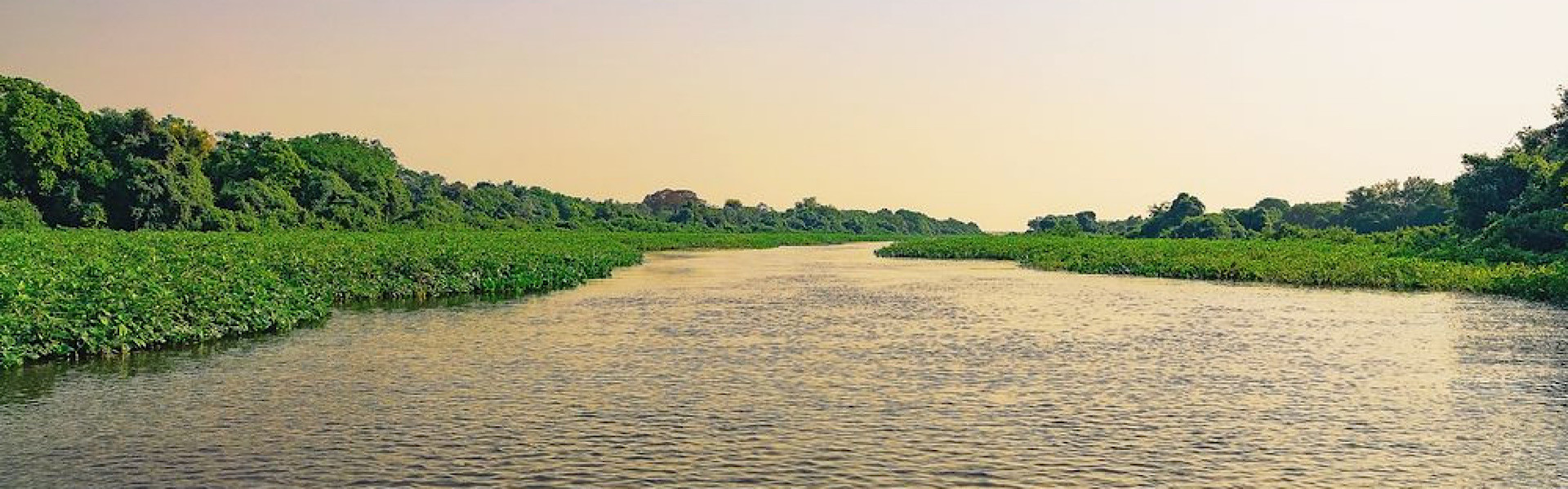 Já está valendo lei que impede pesca comercial no estado do Mato Grosso