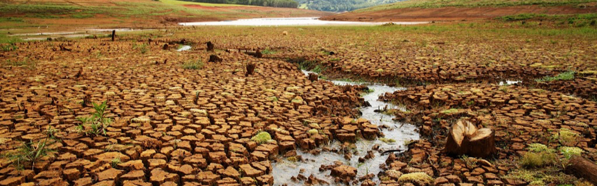 Dia Mundial do Meio Ambiente: a urgência da proteção ambiental em pauta