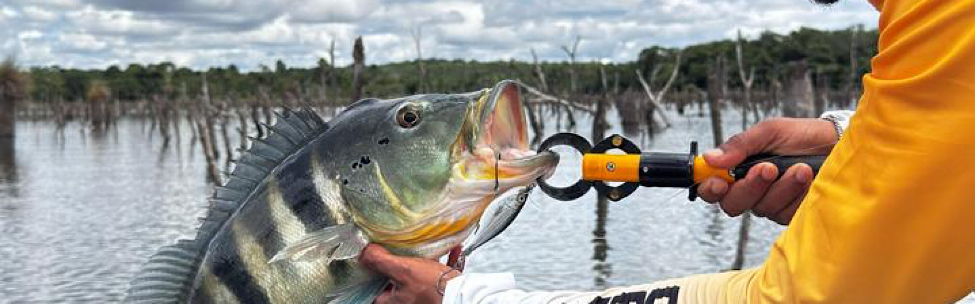 RESISTÊNCIA E EFICIÊNCIA: PESCA BRASIL DESTACA DIFERENCIAIS PARA A FINAL DO CBP 7. Foto: Reprodução / Pesca Brasil.