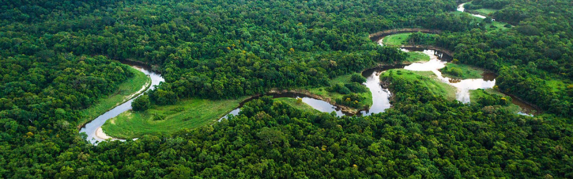 Dia da Amazônia: maior floresta tropical do planeta precisa de atenção