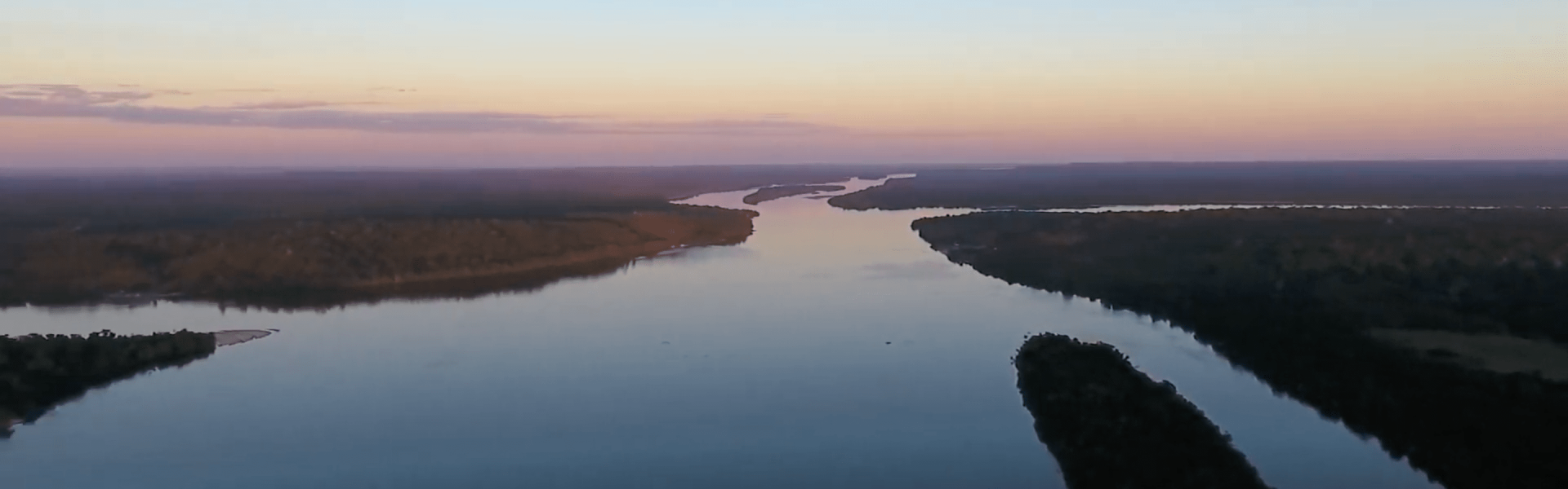 Dia da Amazônia: momento para conscientizar sobre a preservação da maior floresta tropical do planeta