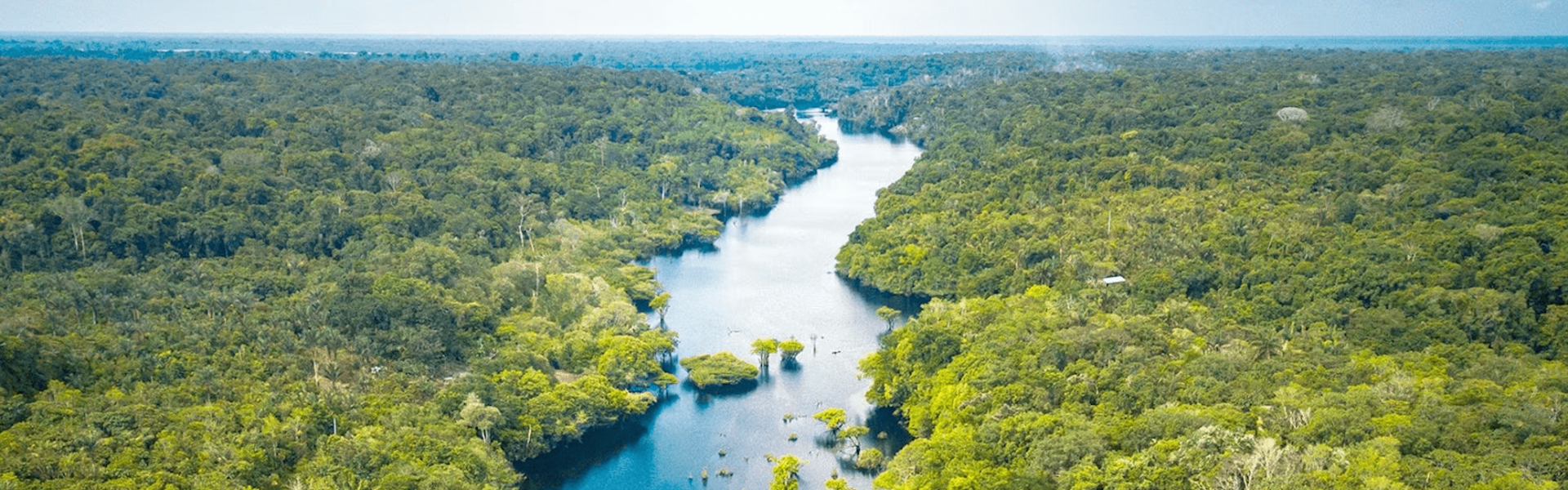 Campanha de preservação Junho Verde contará com audiências da Comissão de Meio Ambiente