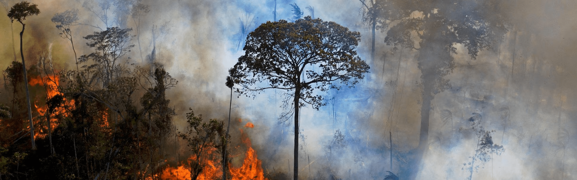 Questões ambientais afligem mais da metade dos brasileiros, diz pesquisa