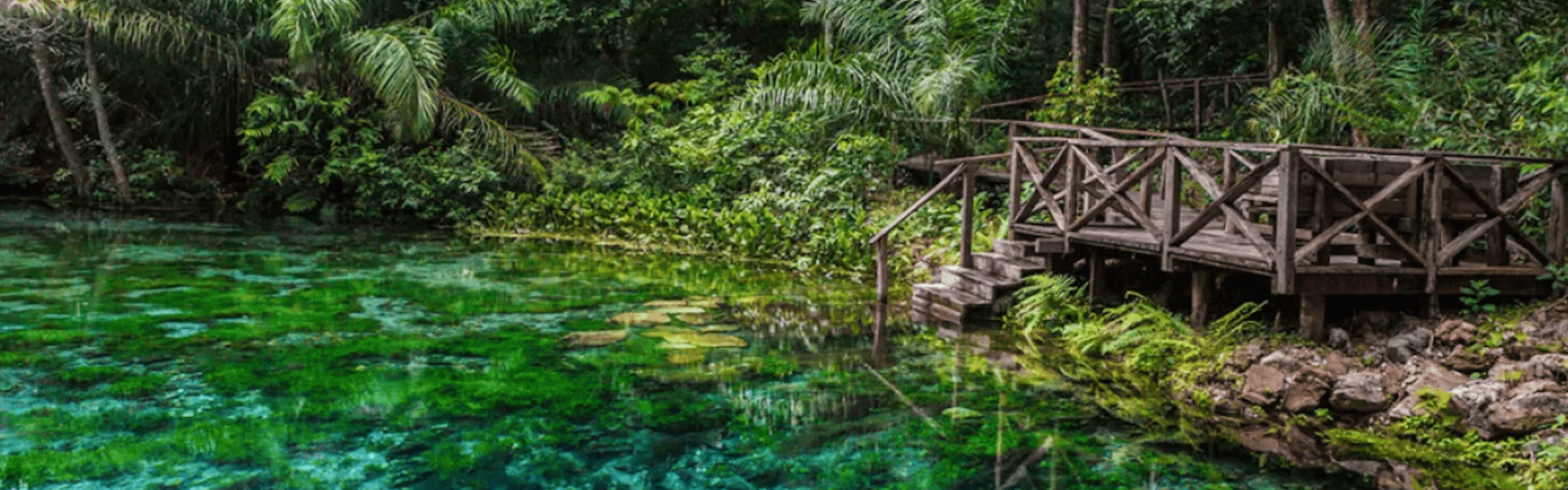 Brasil é o melhor país para ecoturismo, diz Forbes