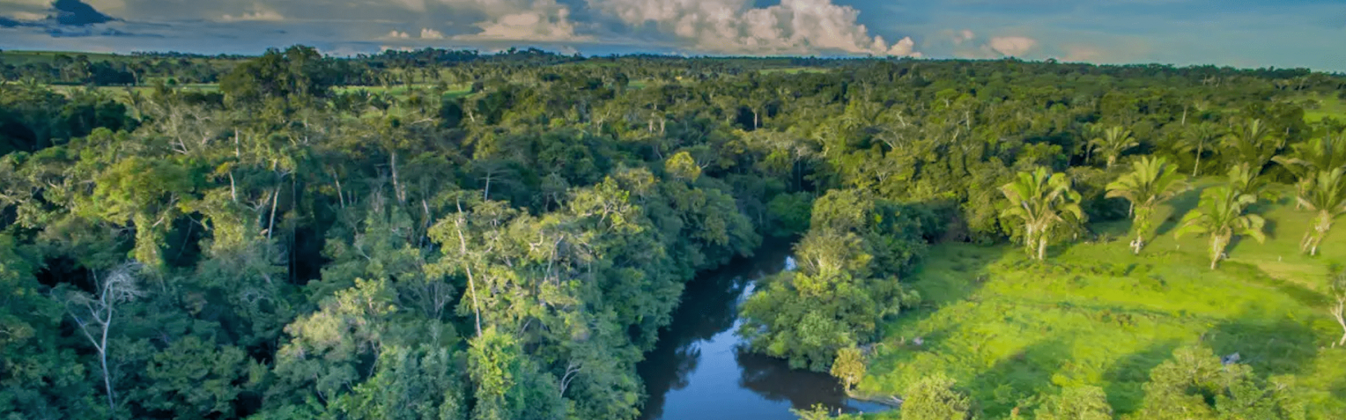 Fundo de investimento recebe financiamento de US$15 milhões para negócios na Amazônia
