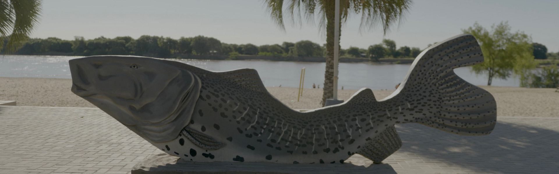 49ª Festa Nacional do Surubim confirma milhões de pesos em prêmios e 1.400 embarcações em Goya, Argentina. Foto: Fish TV.