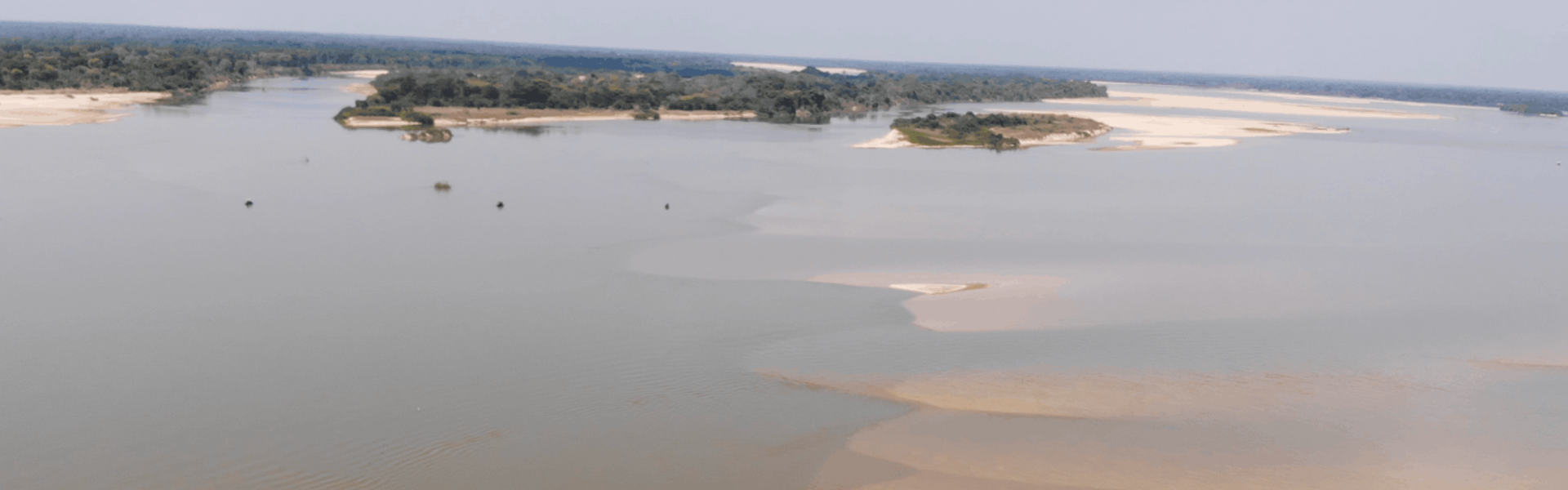 Piracema tem início em Mato Grosso e na Bacia do Rio Uruguai, indo até janeiro de 2027. Foto de capa: Fish TV.