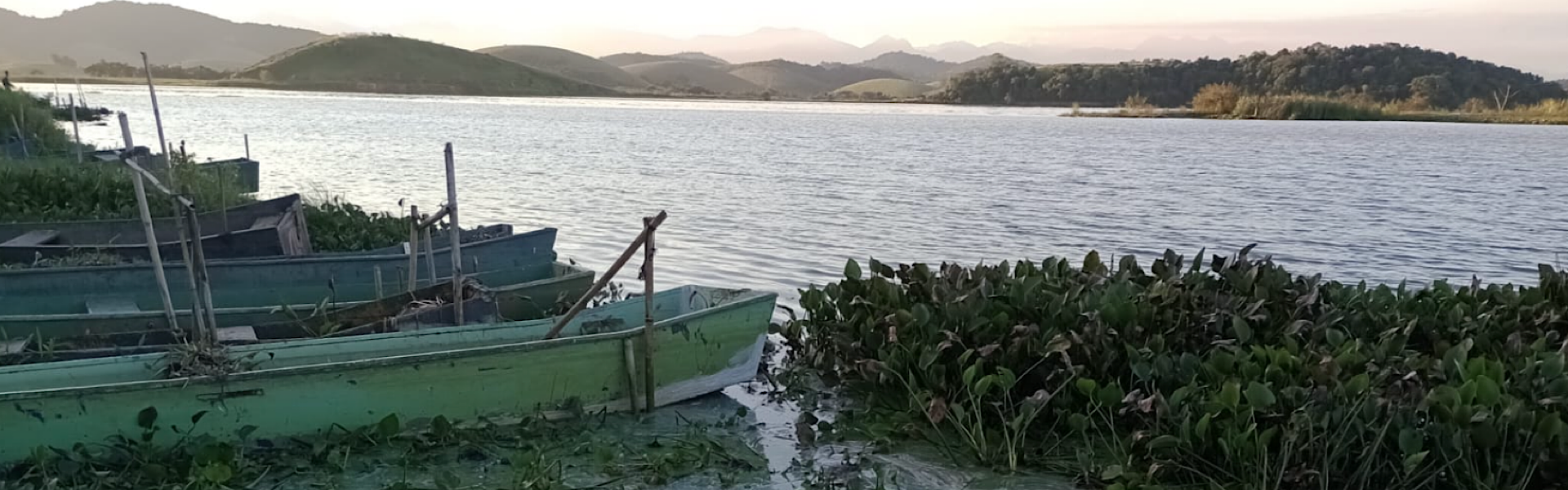 Mutirão de limpeza da Lagoa de Juturnaíba, no estado do Rio, acontece neste sábado