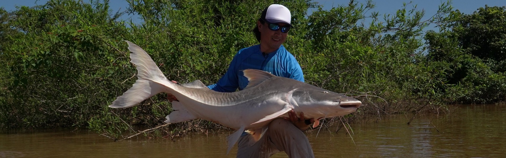 Biopesca, Lawrence Ikeda, piraíba