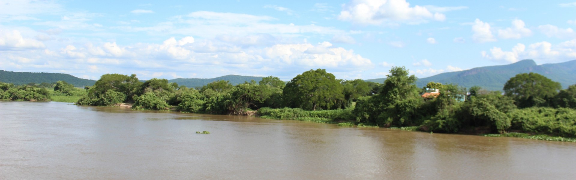 Pantanal