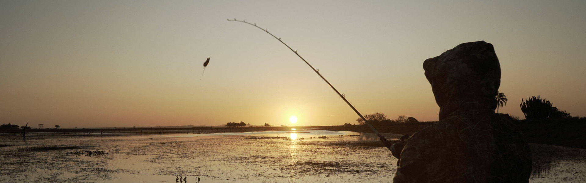 29 de junho: dia do Pescador e aniversário da Fish TV