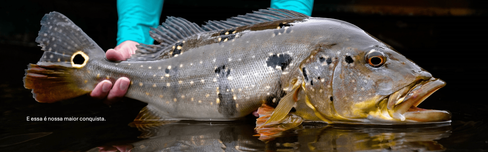 Conectados pela natureza: dia do pescador celebra 14 Anos da Fish TV e a força da pesca esportiva