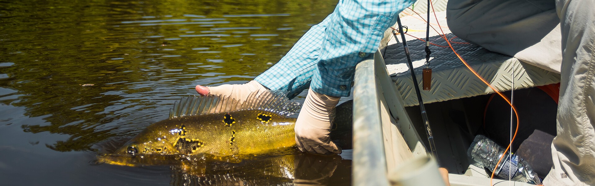 Turismo de Pesca: como o segmento é representado no Brasil
