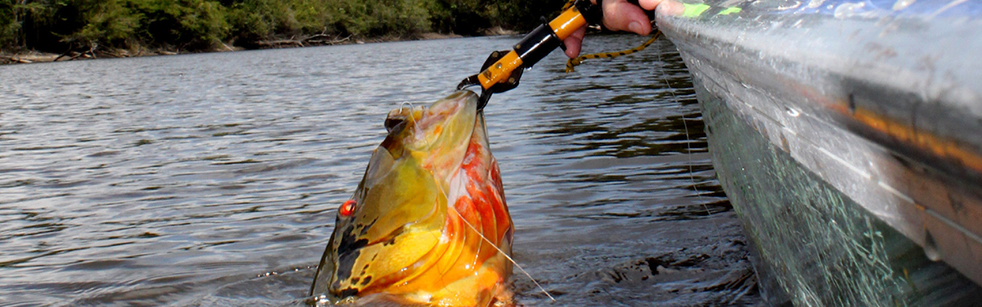 Curso gratuito de guia de Pesca Esportiva é oferecido a piloteiros no Amazonas