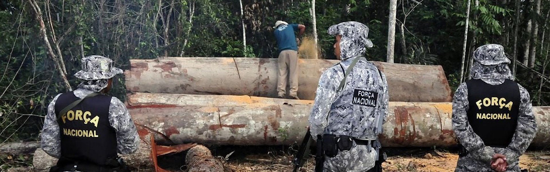 Preservação da Natureza: ICMBio contará com apoio das Forças Nacionais